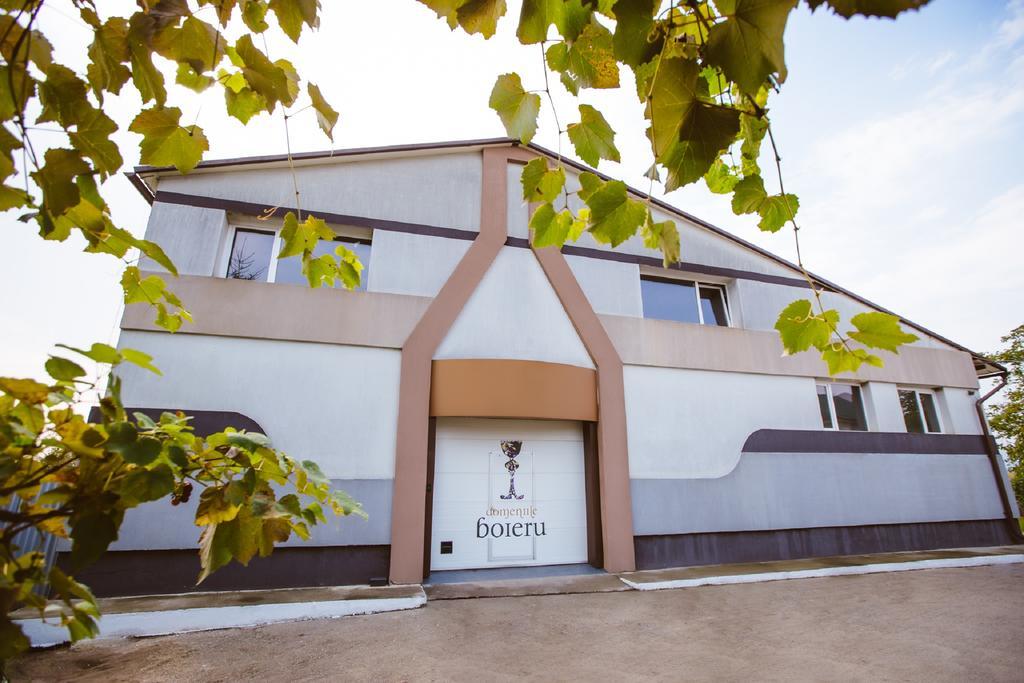 Hotel Casa Domeniile Vinului Aiud Exteriér fotografie